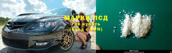 прущие грибы Алзамай