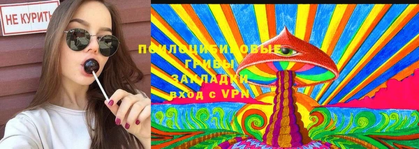 прущие грибы Алзамай