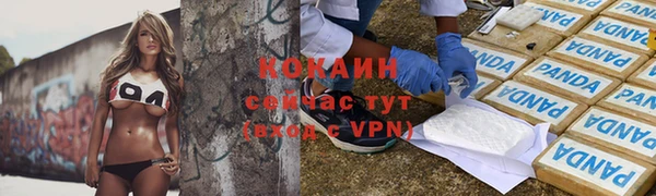 прущие грибы Алзамай