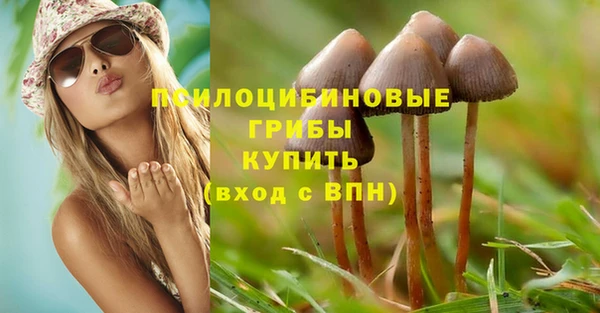 мескалин Алексеевка