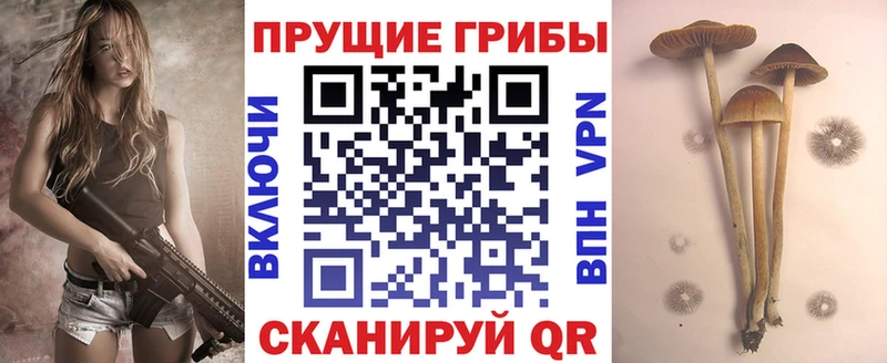 Псилоцибиновые грибы Psilocybe  Льгов 